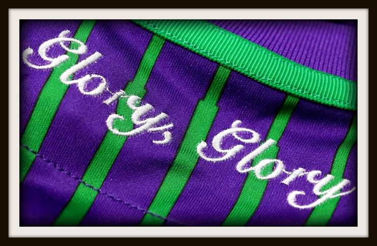 Hibs, 2019-20, away, Macron